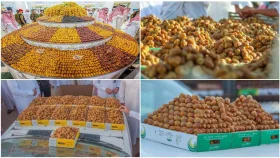 বিশ্বের শীর্ষ ১০ খেজুর উৎপাদনকারী দেশ কারা