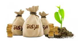 কাকে জাকাত দেওয়া যাবে আর কাকে দেওয়া যাবে না?