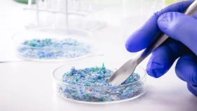 মানবদেহে মাইক্রোপ্লাস্টিক জমে গজাচ্ছে টিউমার!