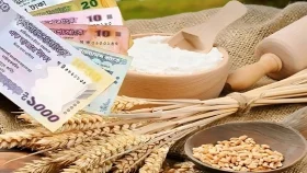 সাদাকাতুল ফিতর কী, কাদের ওপর ওয়াজিব?&nbsp;