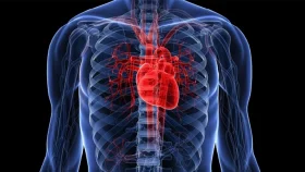 একমাসের রোজায় মানবদেহে যেসব পরিবর্তন ঘটে