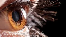 মাছের আঁশ থেকে কৃত্রিম কর্নিয়া তৈরি !