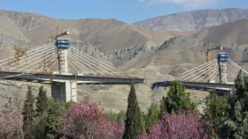 ইরানের গুরুত্বপূর্ণ সেতুতে যুক্তরাষ্ট্রের হামলায় নিহত বেড়ে ৮