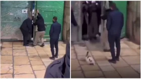 ৪০ দিন পর খুললো আল-আকসা, আগে প্রবেশ করলো বিড়াল