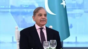 লেবানন-ইসরায়েল যুদ্ধবিরতিকে স্বাগত জানালেন শেহবাজ শরীফ&nbsp;