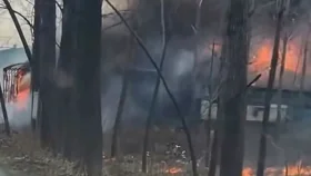 ভারতে আতশবাজি কারখানায় অগ্নিকাণ্ড, নিহত ২০