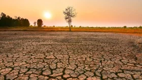 বাংলাদেশে এল নিনোর প্রভাব, কবে সক্রিয় হতে পারে?