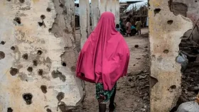 নাইজেরিয়ায় গ্রামবাসীর ওপর গুলি, নিহত ২৯