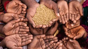 বিশ্বজুড়ে ভয়াবহ খাদ্য সংকটের আশঙ্কা