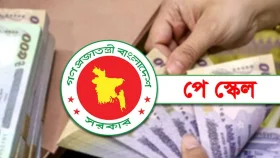 নতুন পে স্কেল: দ্বিগুণ হতে পারে যাদের পেনশন, বাড়ছে ভাতাও