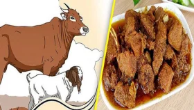 কোরবানির গোশত দিয়ে বিয়ের আপ্যায়ন করা যাবে কি?