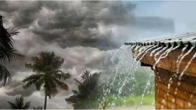 সকাল ৯টার মধ্যে ঢাকাসহ ১০ জেলায় হতে পারে ঝড়বৃষ্টি&nbsp;