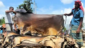 কোরবানির চামড়ার বাজারে ধস, নেপথ্যে বড় ৫ কারণ