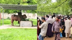 চিড়িয়াখানায় &lsquo;ডোনাল্ড ট্রাম্প&rsquo;কে দেখতে দর্শনার্থীদের ভিড়