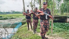 চামড়া পাচার ও পুশইন ঠেকাতে সীমান্তে বাড়তি নজরদারিতে বিজিবি
