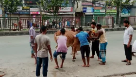 রাজধানীতে ঈদের দ্বিতীয় দিনেও চলছে পশু কোরবানি