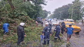 কালবৈশাখীর তাণ্ডবে লণ্ডভণ্ড পশ্চিমবঙ্গে নিহত ৮
