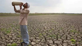 ভারত ও এশিয়ায় চরম কৃষি ও খাদ্য সংকটের শঙ্কা