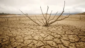 আসছে কয়েক দশকের সবচেয়ে তীব্র &lsquo;এল নিনো&rsquo;