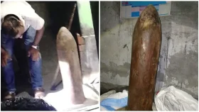 সাতক্ষীরায় সীমানা পিলারসহ আটক ৪