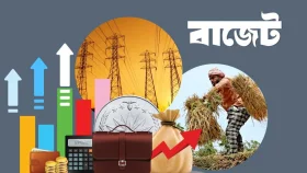 আগামী বাজেটে ভর্তুকির চাপ বাড়ছে বিদ্যুৎ ও সার খাতে