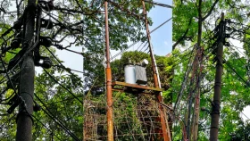 ব্রাহ্মণবাড়িয়ায় চুরির হিড়িক, গ্রাম থেকে শহর স্বস্তি নেই কোথাও
