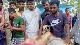 নড়াইলে পুকুরের পানিতে ডুবে ২ ভাইয়ের মৃত্যু