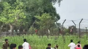 সীমান্তে ভারত-বাংলাদেশ ইটপাটকেল নিক্ষেপ, ধাওয়ায় পালালো ভারতীয়রা!