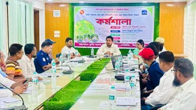 সিংড়ায় গ্রামীণ সড়কের কোর রোড নেটওয়ার্ক বিষয়ক কর্মশালা