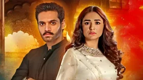 ৫ বিলিয়ন ভিউয়ের রেকর্ড গড়লো &lsquo;তেরে বিন&rsquo;, তবুও হতাশ ভক্তরা