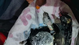 সাতক্ষীরায় ইউনিয়ন বিএনপির দলীয় কার্যালয়ে ককটেল বিস্ফোরণ