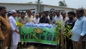 সিংড়ায় বৃক্ষরোপন কর্মসূচি উদ্বোধন&nbsp;