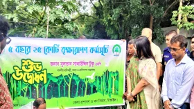 টাঙ্গাইলে বৃক্ষরোপণ কর্মসূচির উদ্বোধন