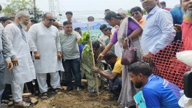 সাতক্ষীরায় বৃক্ষরোপণ কর্মসূচির উদ্বোধন