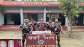 চুয়াডাঙ্গায় বিজিবির অভিযানে বিদেশী পিস্তল ও গুলিসহ ২ কেজি গাঁজা উদ্ধার