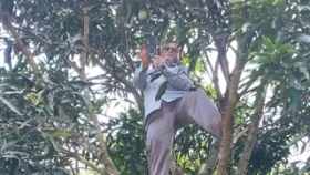 নেটওয়ার্কের খোঁজে মগডালে প্রধান শিক্ষক