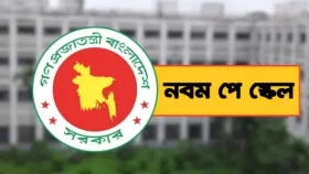 নবম পে স্কেল: মাঠপর্যায়ের কর্মচারীদের ভাতা পাঁচ গুণ বাড়ছে