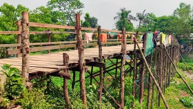 নড়বড়ে কাঠের সাঁকোই ২০ গ্রামের মানুষের ভরসা