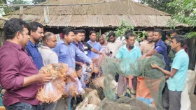 সিংড়ায় ২০ লক্ষাধিক টাকার অবৈধ চায়না দুয়ারি জাল পুড়িয়ে ধ্বংস