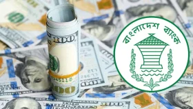 জুনের ২০ দিনে রেমিট্যান্স এলো ১৯৫ কোটি ডলার