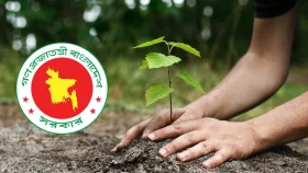 ২৫ কোটি গাছের কার্বন ক্রেডিট থেকে বিলিয়ন ডলার আয়ের সম্ভাবনা