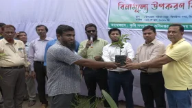 ঝিনাইদহে কৃষকদের মাঝে চারা ও জৈব সার বিতরণ