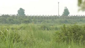 নওগাঁ সীমান্তে বিএসএফের পুশইন চেষ্টা ব্যর্থ, শূন্যরেখায় ৯ জন