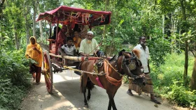 নাতি জন্মের খুশিতে ঘোড়ার গাড়িতে চড়িয়ে নানার উৎসব