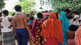 বন্যহাতির আক্রমণে প্রাণ গেলো বৃদ্ধের