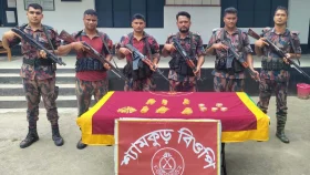 মহেশপুর সীমান্তে পৃথক অভিযানে বিপুল ভারতীয় পণ্য জব্দ