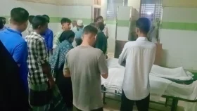 হবিগঞ্জে বিদ্যুৎস্পৃষ্টে ২ ভাইয়ের মৃত্যু