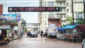 বরগুনায় অটোরিকশা চার্জ দিতে গিয়ে দম্পতির মৃত্যু