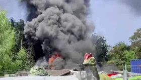 চীনে জুতা তৈরির কারখানায় আগুন, নিহত ২৮