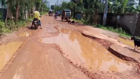 শ্রীপুরে সড়কের বেহাল দশা, দুর্ভোগে হাজারো মানুষ